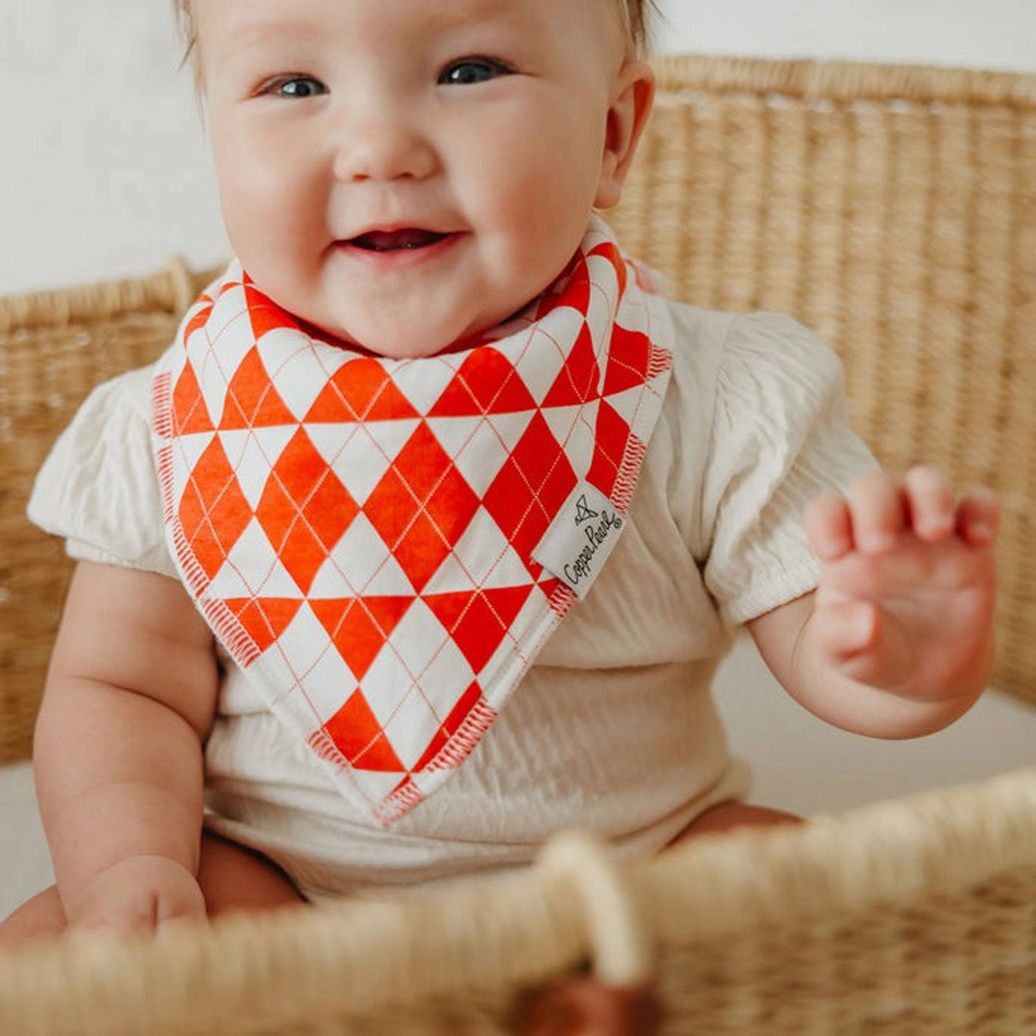 Single Holiday Bandana Bib
